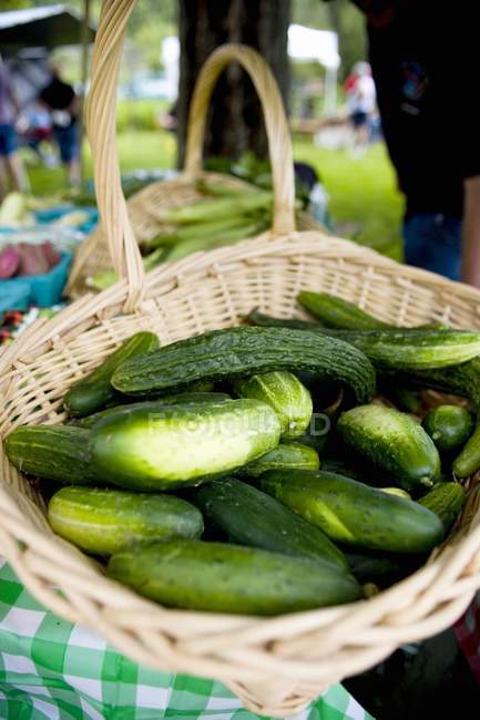 Basket of Cucumbers at Market — Stock Photo