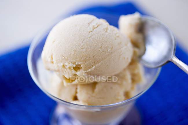 Gelato alla vaniglia fatto in casa — Foto stock