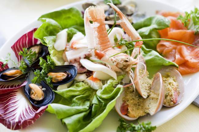 Vista close-up de antipasti de frutos do mar variados com legumes e ervas — Fotografia de Stock
