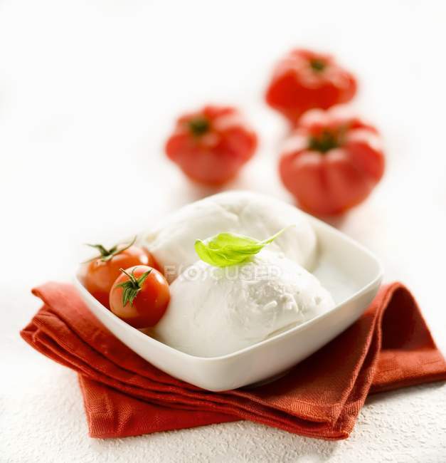 Mozzarella com coquetel de tomates — Fotografia de Stock