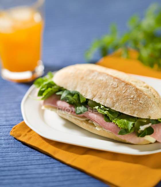 Cheese and salad roll — Stock Photo