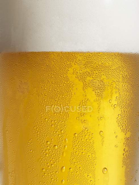 Vaso de cerveza con condensación - foto de stock