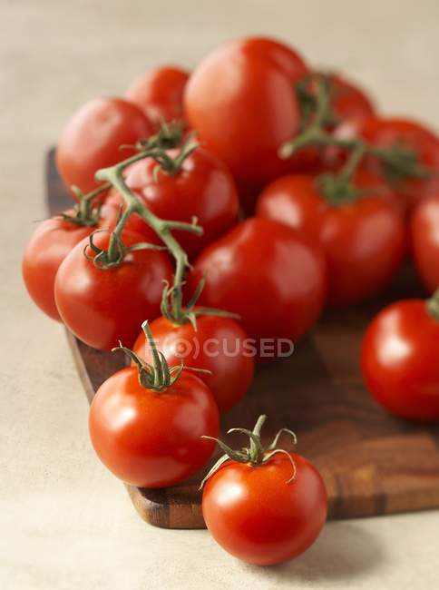 Вишневі помідори з лози — стокове фото