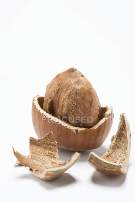 Dried cracked Hazelnut — Stock Photo