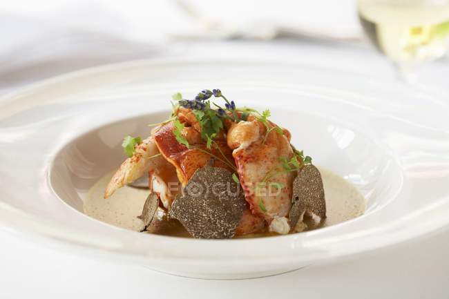 Closeup view of lobster in truffle sauce — Stock Photo
