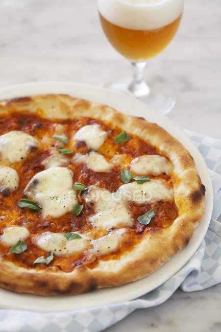 Pizza de albahaca y queso mozzarella - foto de stock