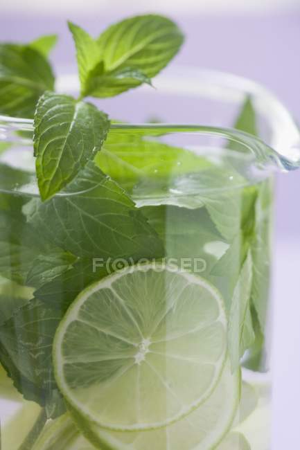 Mojito cocktail in jug — Stock Photo
