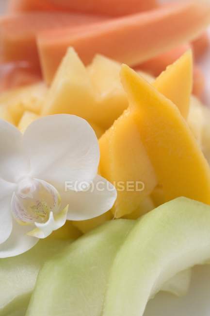 Vista de cerca de fruta fresca y orquídea - foto de stock