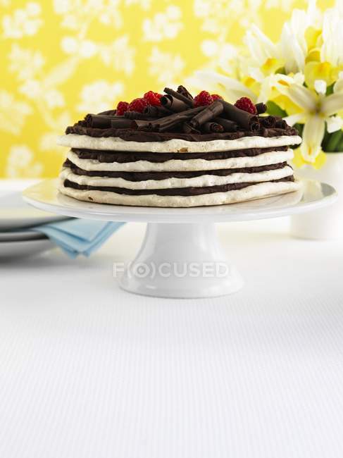 Gâteau meringue en couches — Photo de stock