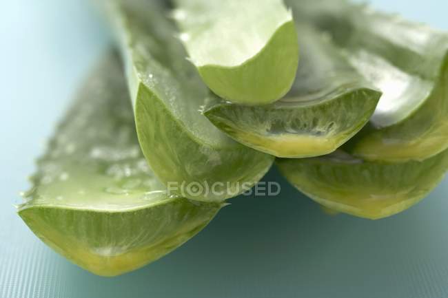 Fresh-cut aloe vera shoots — Stock Photo