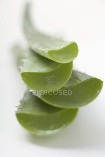 Frisch geschnittene Aloe-Vera-Triebe — Stockfoto