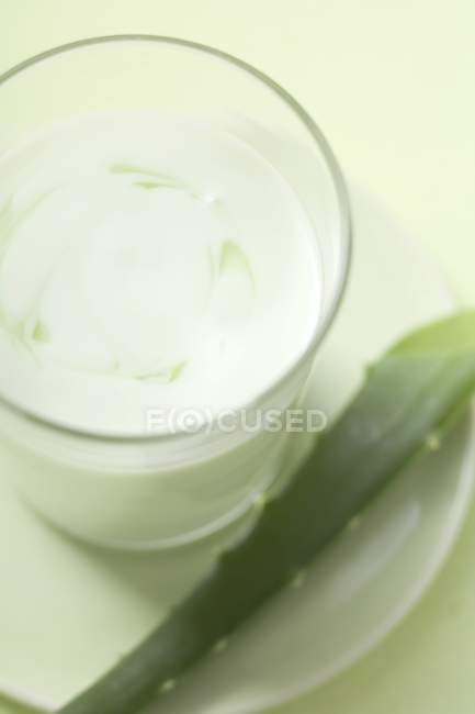Yogurt con Aloe vera — Foto stock