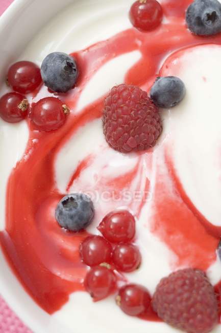 Yoghurt for muesli with blueberries — Stock Photo
