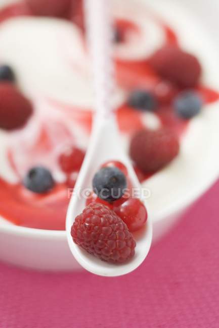 Joghurt für Müsli mit Blaubeeren — Stockfoto