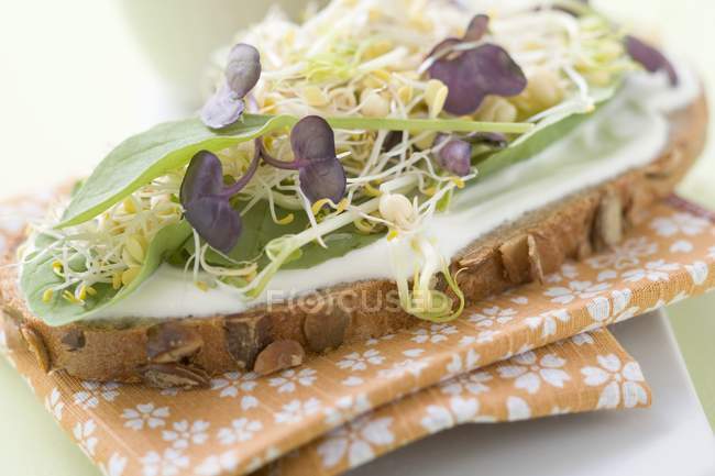 Sprouts and herbs on bread — Stock Photo