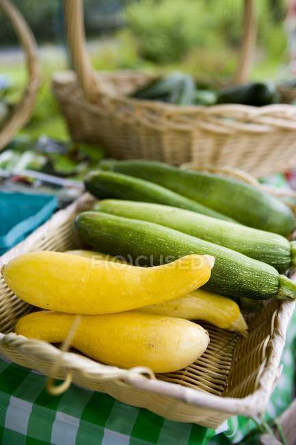 Sommerkürbisse und Zucchini — Stockfoto