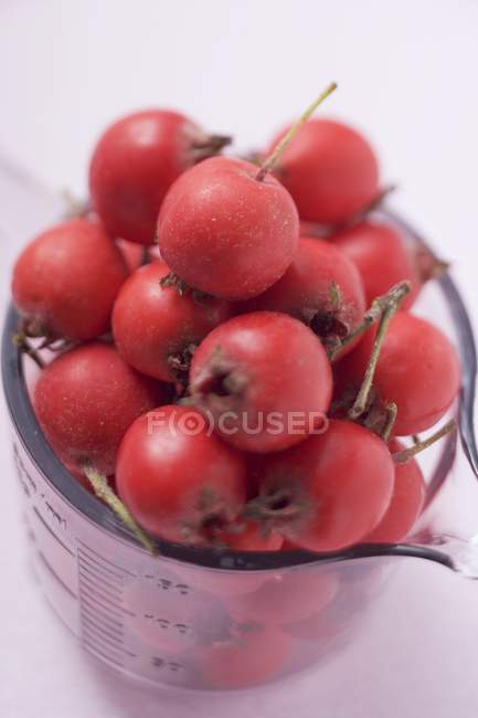 Rose berries in measuring jug — Stock Photo