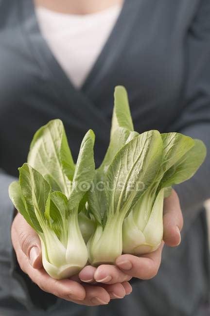Woman holding fresh pak choi — Stock Photo