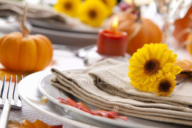 Осенний стол с хризантемами и тыквами на полотенце над тарелкой — стоковое фото