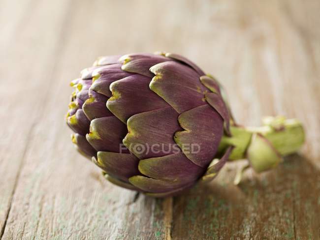 Fresh Purple Artichoke — Stock Photo