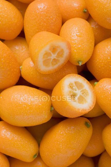 Kumquats frescos y maduros - foto de stock