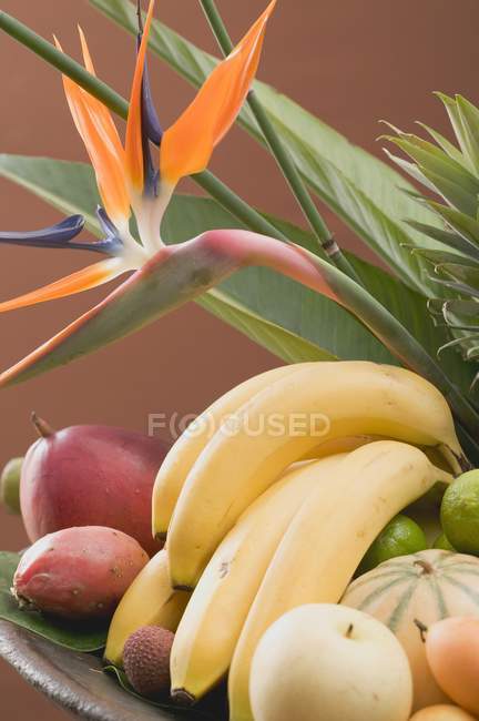 Асорті з екзотичних фруктів — стокове фото