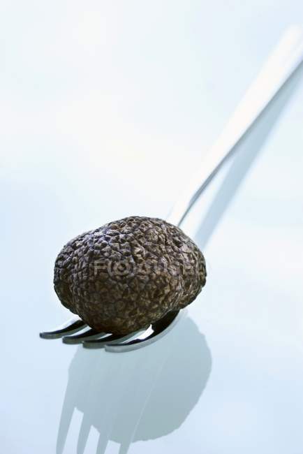 Black truffle on fork — Stock Photo