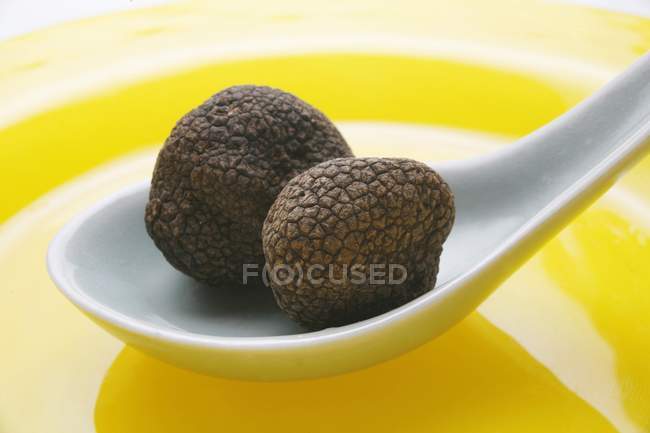 Two black truffles — Stock Photo