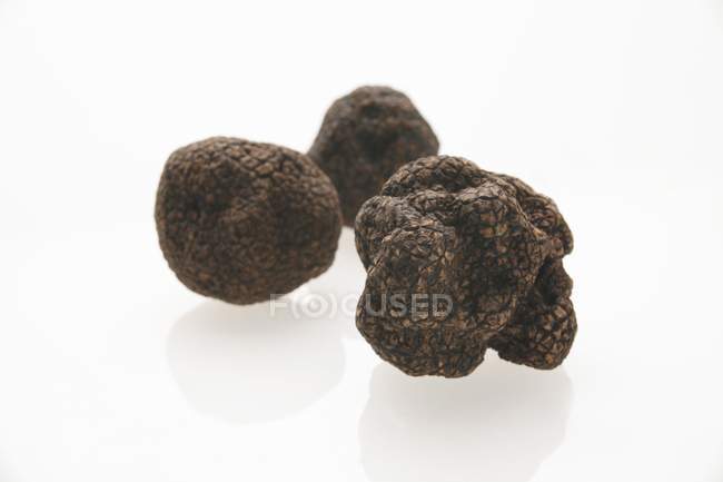 Black truffles  isolated on white — Stock Photo