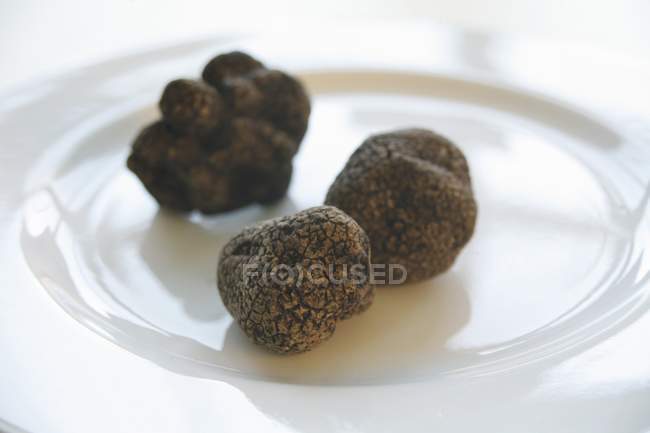 Black truffles on plate — Stock Photo