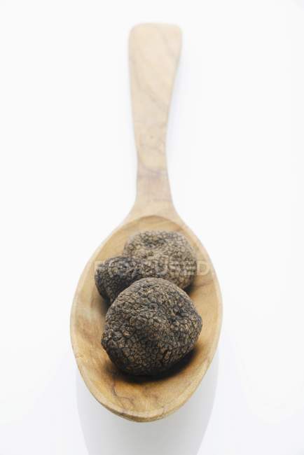 Black truffles on wooden spoon — Stock Photo
