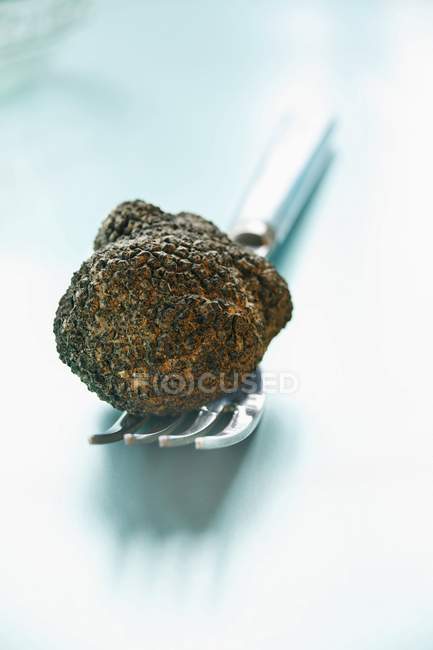 Tartufo nero sulla forchetta — Foto stock