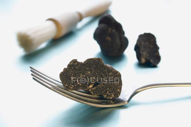 Truffe noire, truffe du Périgord — Photo de stock
