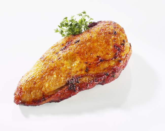 Petto di pollo marinato con crescione — Foto stock