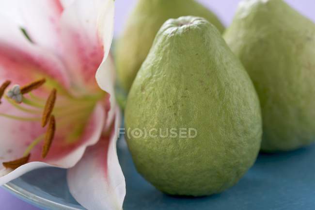 Fresh guavas on plate with orchid — Stock Photo