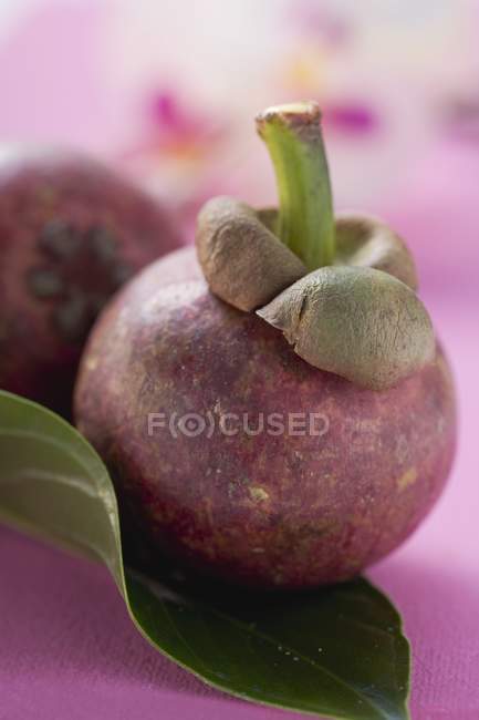 Свіжі стиглі mangosteens — стокове фото