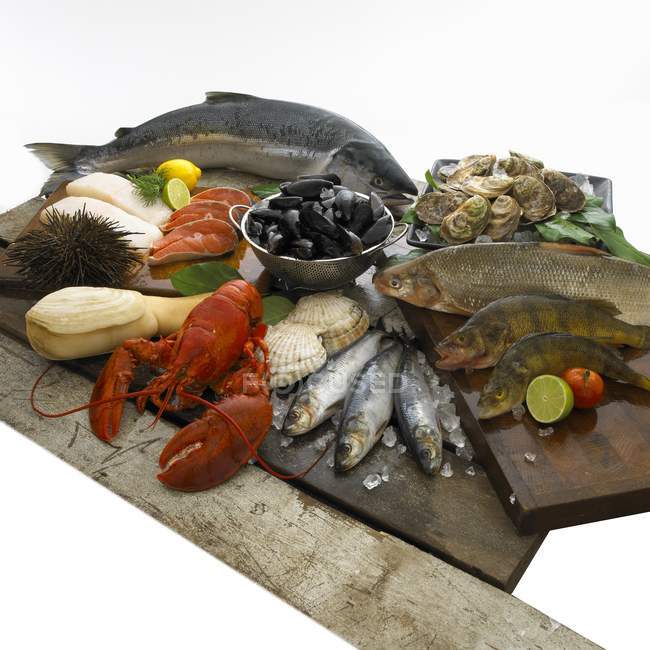 Diversos tipos de peixe e marisco — Fotografia de Stock