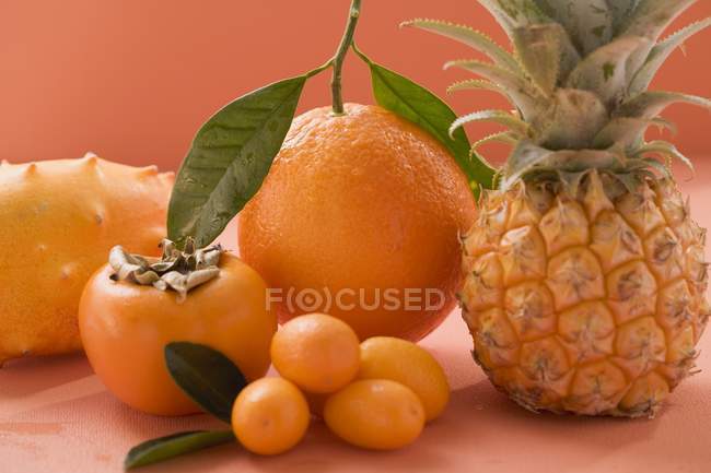 Orange et kumquats sur fond rose — Photo de stock