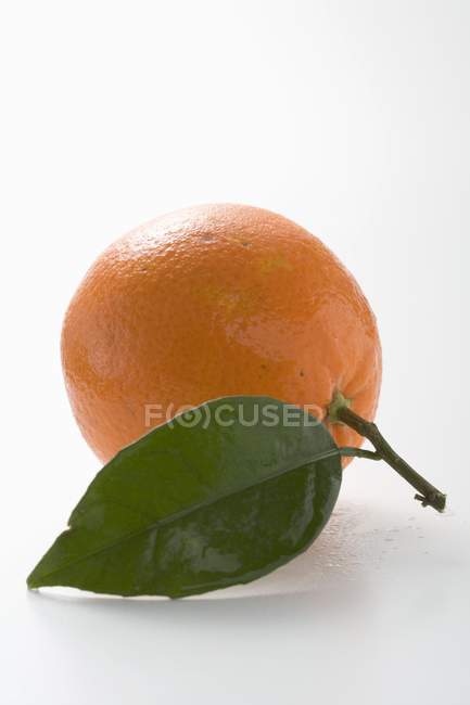 Апельсин со стеблем и листьями — стоковое фото