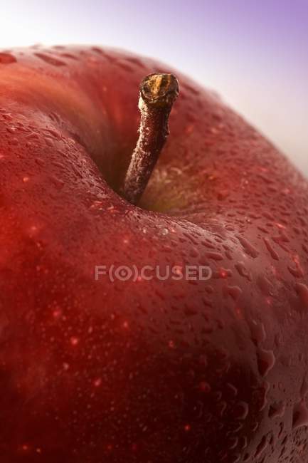 Ripe Red apple — Stock Photo