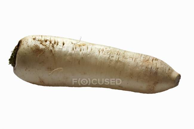 Fresh unprocessed horseradish — Stock Photo