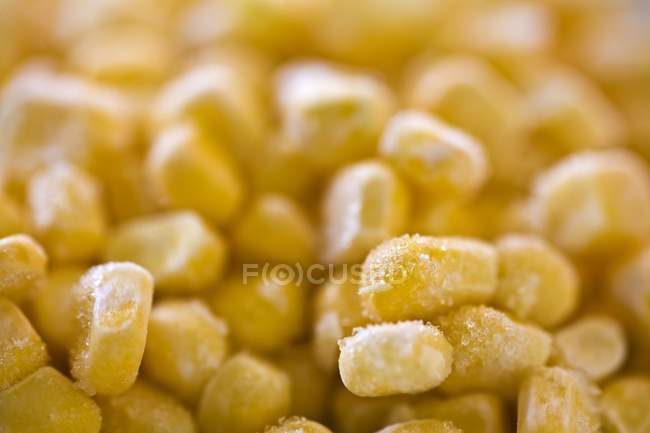 Замороженные зерна кукурузы — стоковое фото