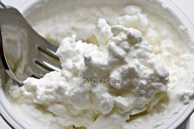 Cottage cheese in tub — Stock Photo