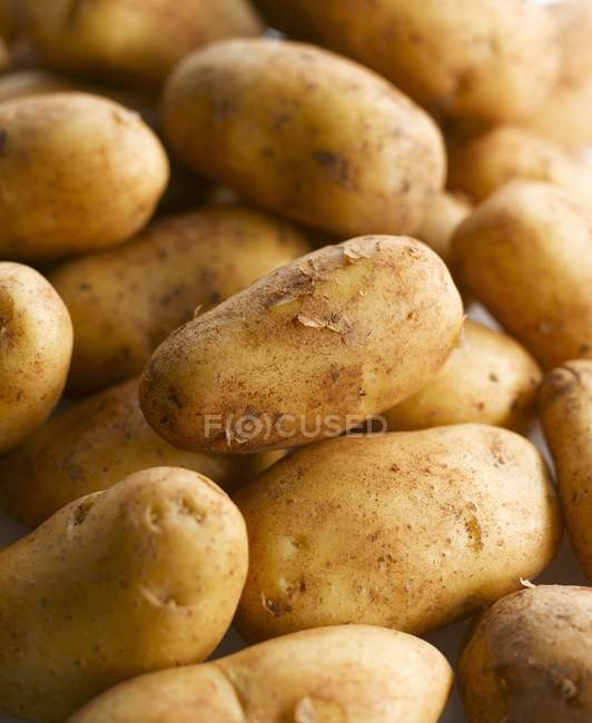 Fresh raw Potatoes — Stock Photo