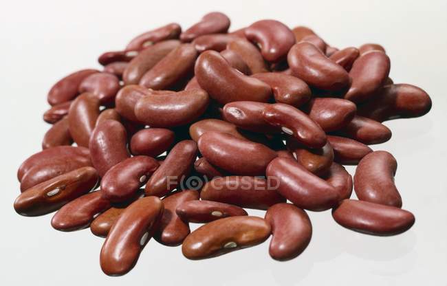 Frijoles de riñón secos - foto de stock