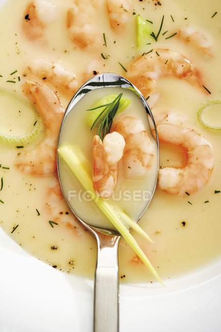 Креветочный суп с луком-порей, укропом и ложкой — стоковое фото
