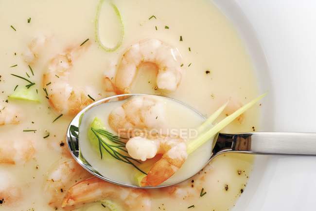 Prawn soup with leeks and dill in plate with spoon — Stock Photo