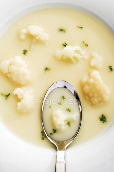 Crema de sopa de coliflor - foto de stock