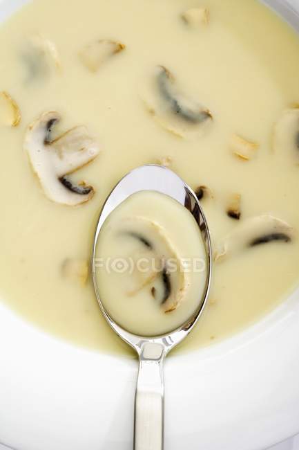 Cream of mushroom soup in spoon and bowl — Stock Photo