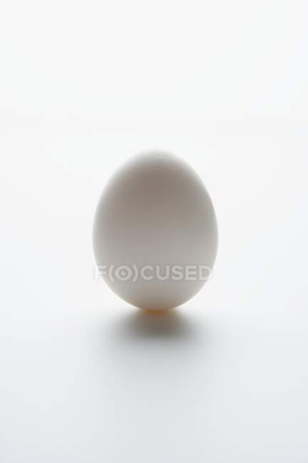 Huevo blanco entero - foto de stock